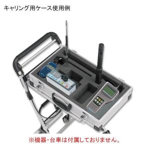 日本カノマックス 空気環境測定器 ビルセットマスター用キャリングケース BS-W1-02｜osoujishop
