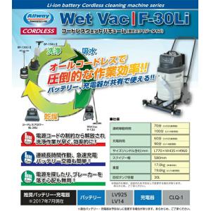 <本体、バッテリーLV14、充電器CLQ-1N...の詳細画像2