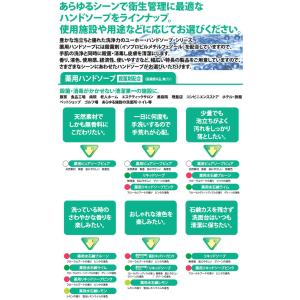 ミッケル化学 ハンドソープ 薬用水石鹸レモン ...の詳細画像2