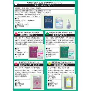 ミッケル化学 ハンドソープ 薬用水石鹸レモン ...の詳細画像3