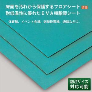 保護フロアシート 切り売り EVA樹脂製 ターポリンAPE 厚さ0.35mm 約137cm×10m テラモト MR-150-600-1 体育館 学校｜osoujishop