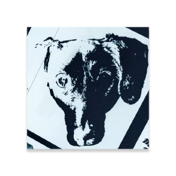 MICHAEL LEONHART マイケル・レオンハート / DANIAL / ANGER (PIC...