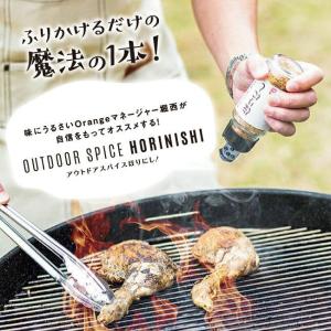アウトドアスパイス ほりにし 100g 小瓶 ...の詳細画像4