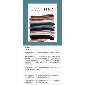 BEANIIEZ ビーニーズ Accent A...の詳細画像1