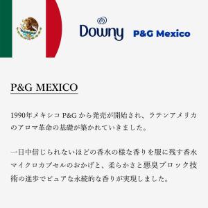 Downy ダウニー P&G MEXI...の詳細画像1