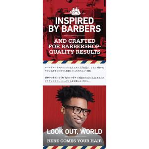 OLD SPICE オールドスパイス 2 In...の詳細画像1