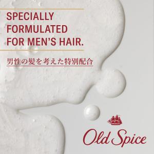 OLD SPICE オールドスパイス 2 In...の詳細画像2