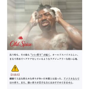 OLD SPICE オールドスパイス 2 In...の詳細画像4