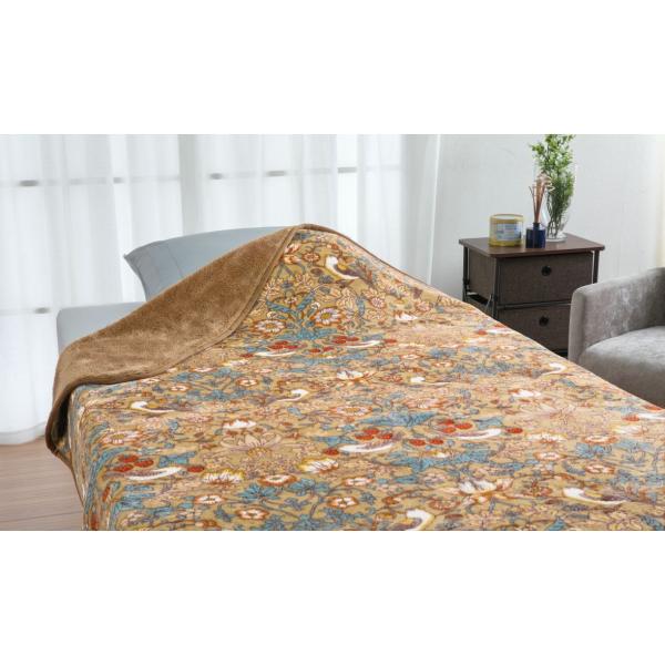 【メーカー直送】ロマンス小杉 V&amp;A マイヤー合わせ毛布 (いちご泥棒・140×200cm)