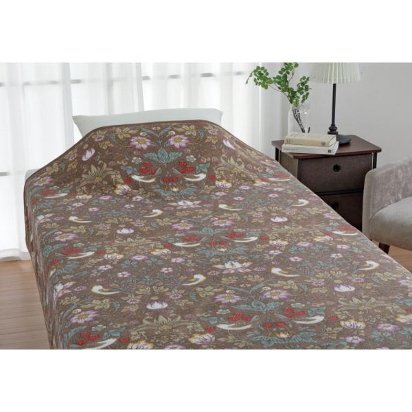 ロマンス小杉 V&amp;A 2枚合せ毛布（いちご泥棒・シングル・140x200cm ）