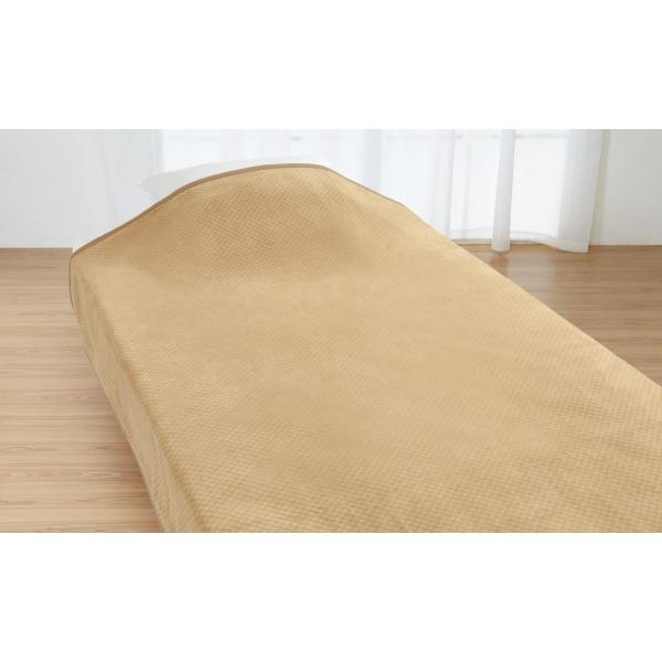 ロマンス小杉 ニューマイヤー毛布（軽量タイプ） ダブル 180x210cm ロマンス岩盤浴 暖かい ...