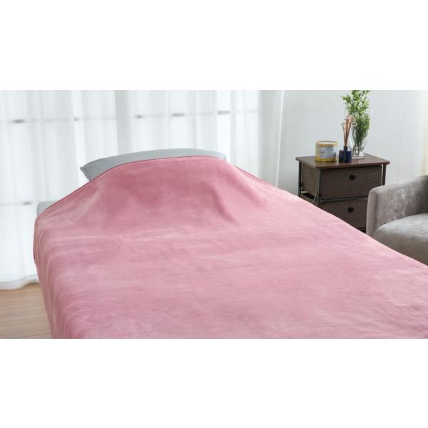 【メーカー直送】ロマンス小杉 Aurora アクリル毛布(毛羽部分) ニューマイヤー (静電防止・ダ...