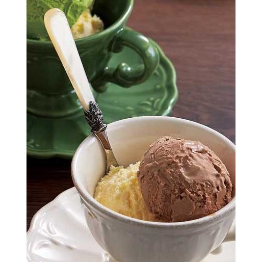 エメ ナポレオン アイスクリームスプーン アイボリー　