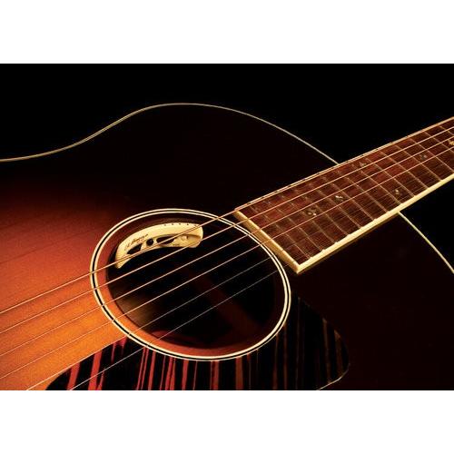 【正規品】L.R.Baggs  Anthem