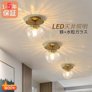 シーリングライト おしゃれ 北欧 照明器具 スチール ガラス ボール LED電球付き リビング 和室 洋風 寝室 玄関 廊下 レストラン 丸形 天井照明 引掛DIY