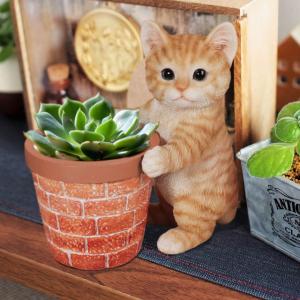 癒しグッズ 女性 プレゼント 植木鉢 プランター の商品一覧 花 ガーデニング 通販 Yahoo ショッピング