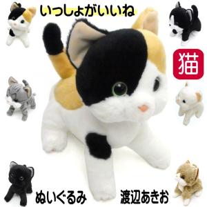 ぬいぐるみ 猫 いっしょがいいね 渡辺あきお ビーンズ コンパクト 小さめサイズ 猫 雑貨 小物 グッズ ねこ ネコ 猫柄 猫雑貨 猫グッズ 誕生日