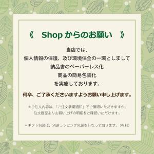 フォトガーランド 10枚 写真 フォトフレーム...の詳細画像5