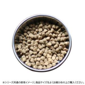 デュラペット ボウル ステンレス食器 キャットディッシュ 16 SS16CD｜otafuku