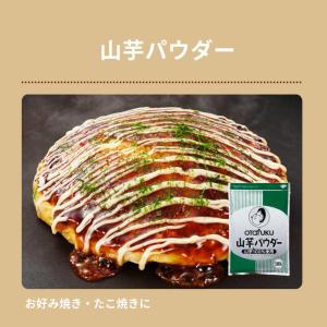 オタフク 青のり粉 35g オタフクソース 調...の詳細画像5