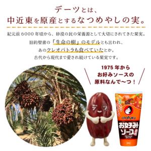 マジョール デーツ 大容量 705g 種抜き ...の詳細画像2