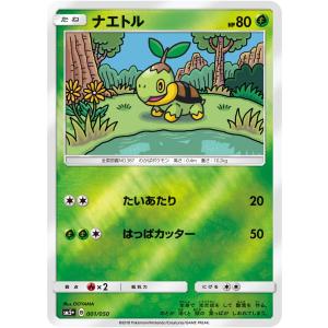 リザードン(未開封) [ミュウツーの逆襲 EVOLUTION セブンイレブン限定