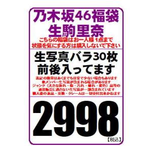 乃木坂46 公式生写真 生駒里奈 約30枚前後入り福袋（原則バラです）※少ない場合もあります