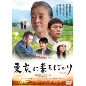 セレブの誕生 10(第19話、最終 第20話) レンタル落ち 中古 DVD 韓国