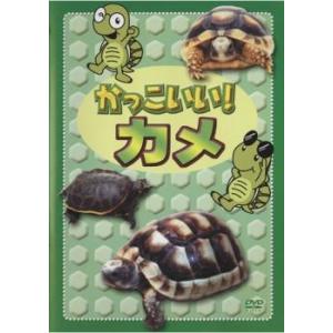 ケース無::かっこいい!カメ レンタル落ち 中古...の商品画像