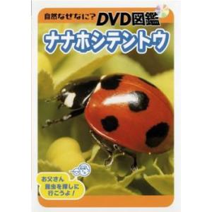 ケース無::自然なぜなに? DVD図鑑 ナナホシテントウ レンタル落ち 中古 DVD