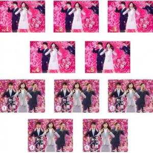 DVD LOVE STORY 全6巻 中山美穂 豊川悦司 ※ケース無し発送 レンタル