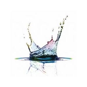 ケース無::カルペ・ディエム 通常盤 レンタル落ち 中古 CD 【ご奉仕価格】