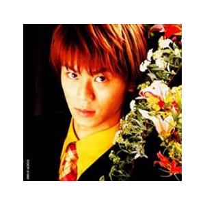 英語教材 イングリッシュアドベンチャー 家出のドリッピー CD全12巻