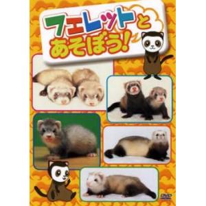 ケース無::フェレットとあそぼう! レンタル落ち 中古 DVD