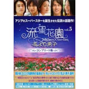 ケース無::流星花園 花より男子 コンプリート版2枚組 5(第13話〜第15話) レンタル落ち 中古 DVD