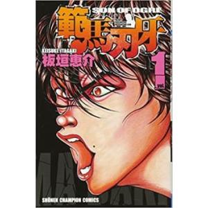 範馬刃牙 全 37 巻 完結 セット レンタル落ち 全巻セット 中古 コミック Comic