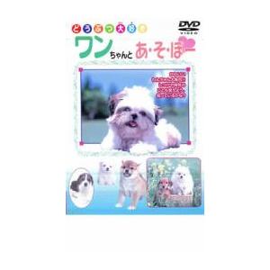 ケース無::ワンちゃんとあそぼー 中古 DVD