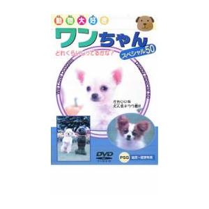 ケース無::ワンちゃん スペシャル50 中古 DVD