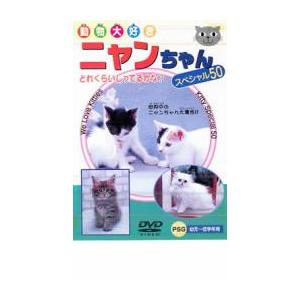 ケース無::ニャンちゃん スペシャル50 中古 DVD
