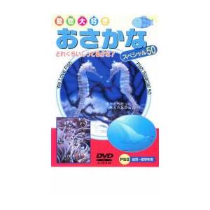 ケース無::動物大好き おさかなスペシャル50 中古 DVD