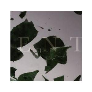 ケース無::TESTAMENT レンタル落ち 中古 CD
