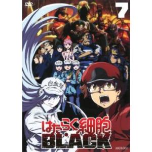 はたらく細胞 BLACK 7(第12話、第13話 最終) レンタル落ち 中古 DVD