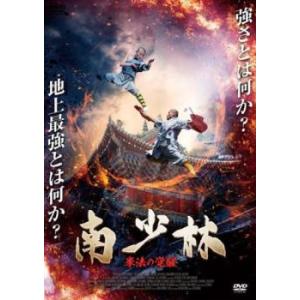 南少林 拳法の覚醒 レンタル落ち 中古 DVD