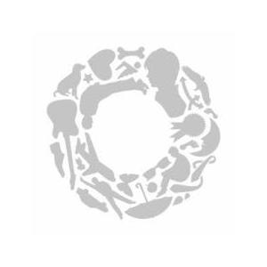 ケース無::【訳あり】互 ※DVD/BD 無し ...の商品画像