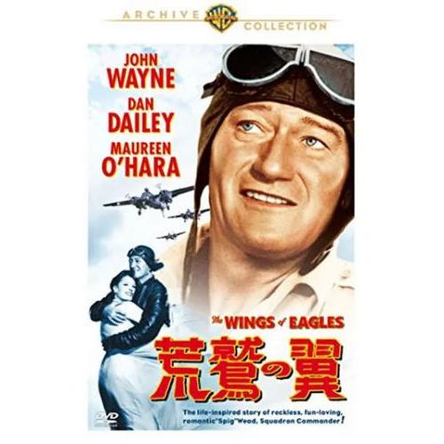 荒鷲の翼【字幕】 レンタル落ち 中古 DVD