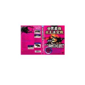 ケース無::【訳あり】世界最強 虫王決定戦 カブト王トーナメント 闘魂編+カブクワ全面対決 ※ディスクのみ レンタル落ち 中古 DVD