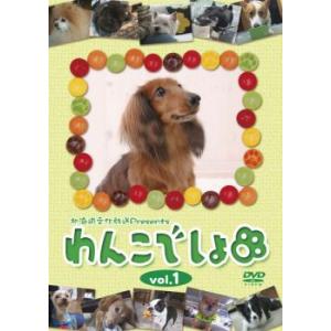 ケース無::わんこでしょ 1 中古 DVDの商品画像