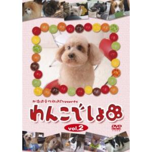 ケース無::わんこでしょ 2 中古 DVD