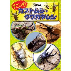 ケース無::すごいぞ!カブトムシ・クワガタムシ レンタル落ち 中古 DVD