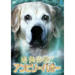 ケース無::感動体験!アンビリーバボー レンタル落ち 中古 DVD
